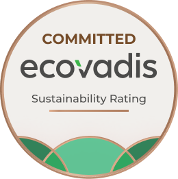 Risconoscimento EcoVadis